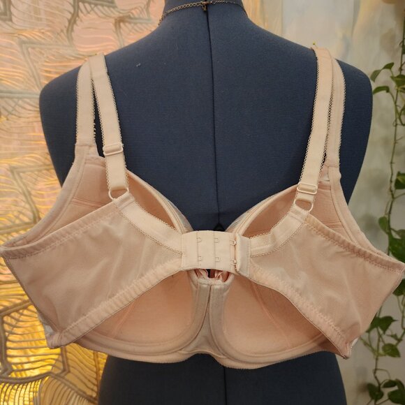 Parfait Charlotte padded bra, Blossom, UK-34FF US-34H - Picture 3 of 10